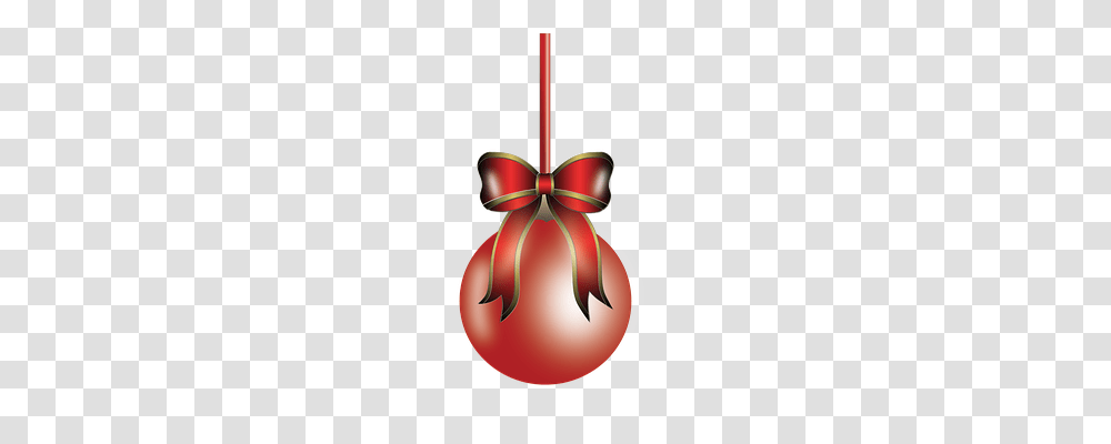 Christmas Holiday, Plant Transparent Png