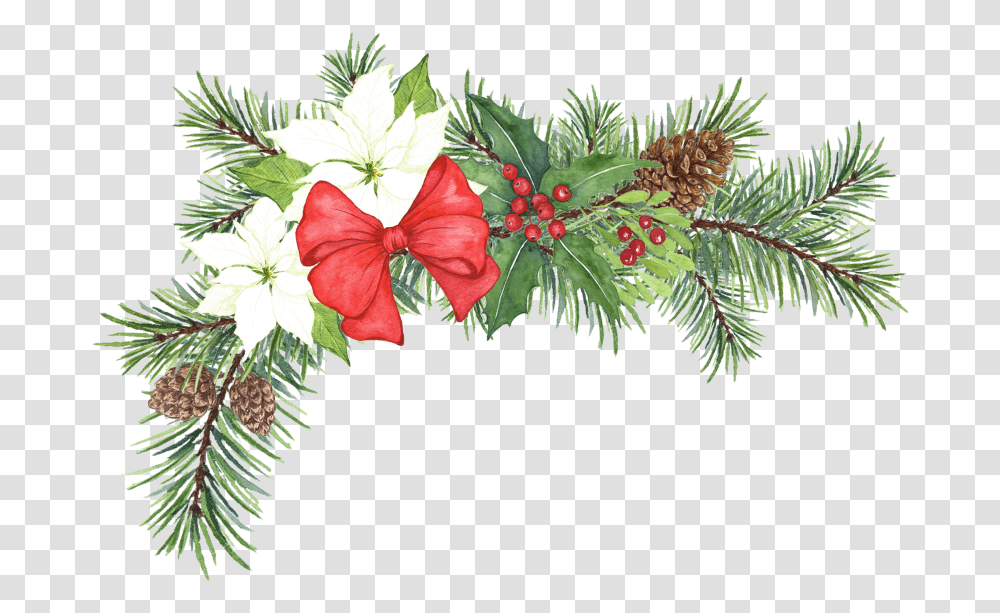 Christmas Arrangement 42 Christmas Tree, Plant, Flower, Blossom, Graphics Transparent Png