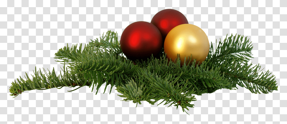 Christmas Background, Sphere, Plant, Tree, Grass Transparent Png