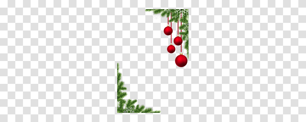 Christmas Baubles Tree, Plant, Conifer, Fern Transparent Png