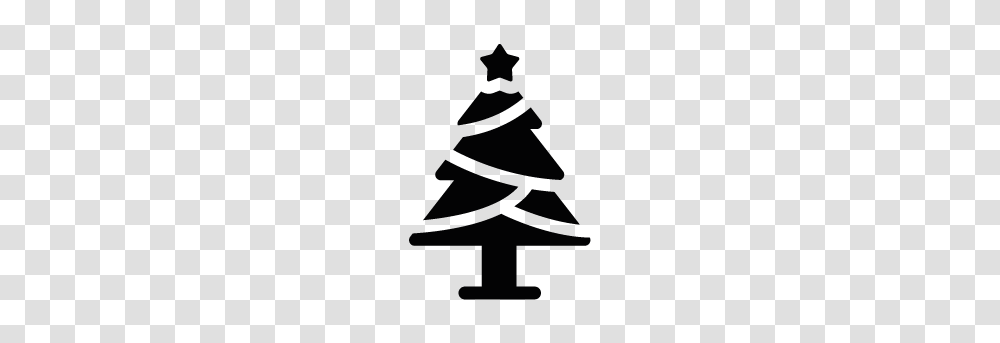 Christmas Black, Tree, Plant, Lamp, Christmas Tree Transparent Png