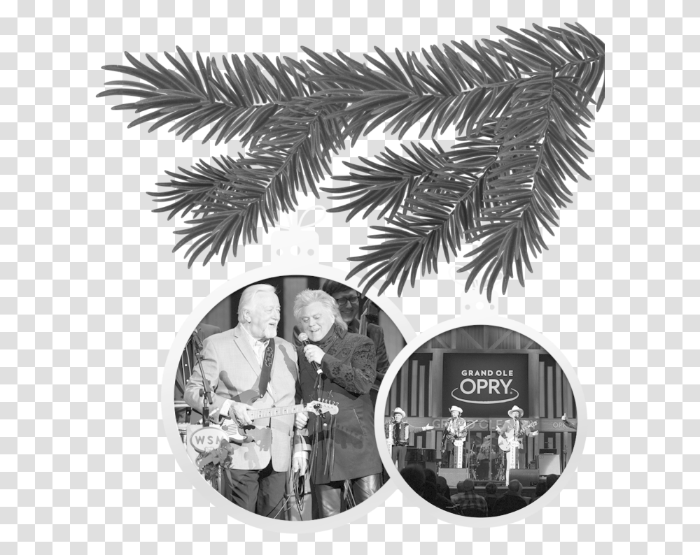 Christmas Black White, Person, Human, Tree, Plant Transparent Png