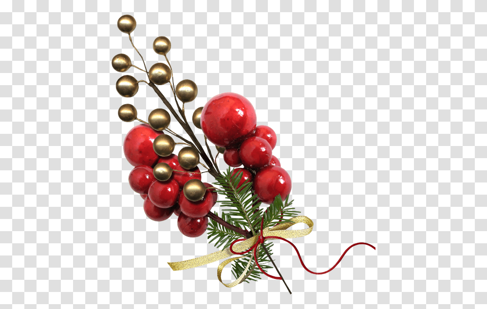 Christmas Bonus Kit Christmas Tree, Plant, Floral Design, Pattern Transparent Png