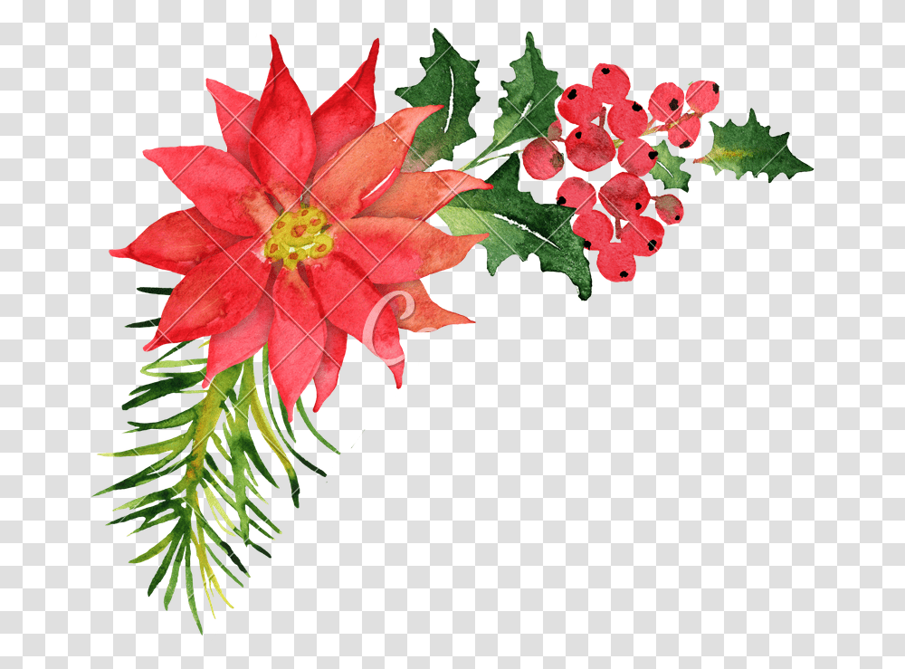 Christmas Bouquet With Poinsettia, Leaf, Plant, Maple Leaf, Flower Transparent Png