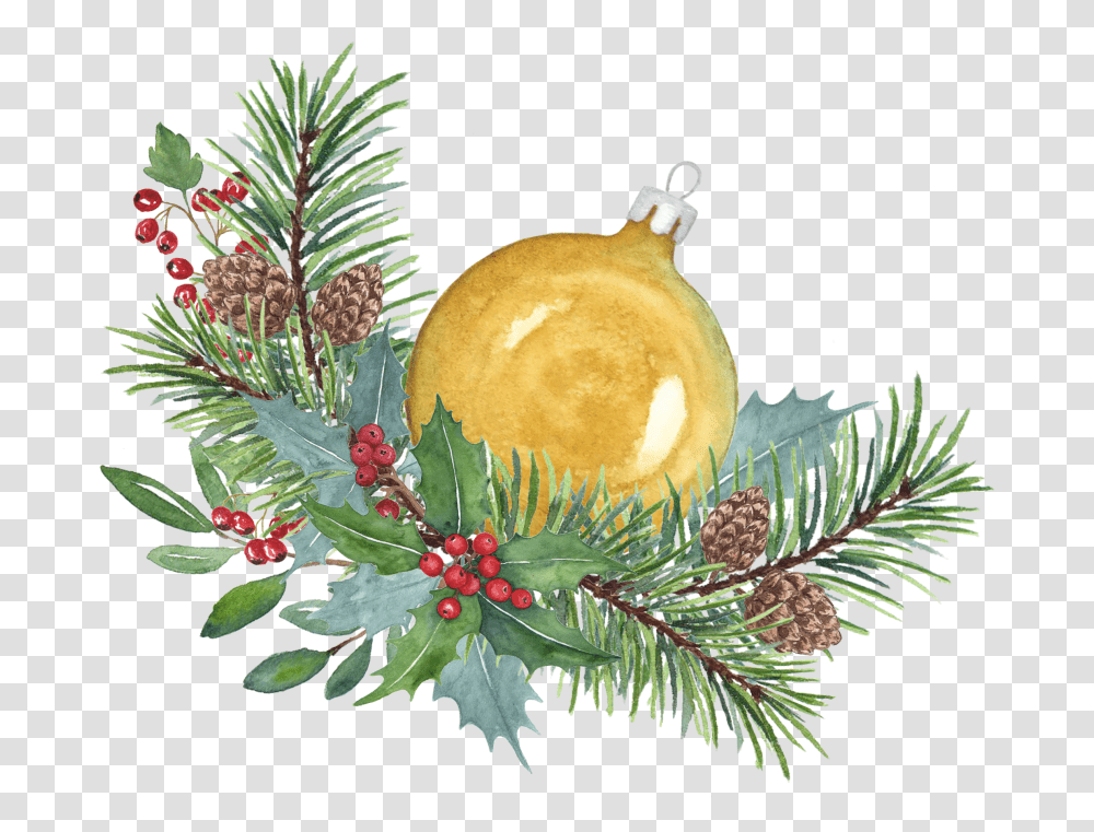 Christmas Branch Illustration, Tree, Plant, Ornament, Conifer Transparent Png