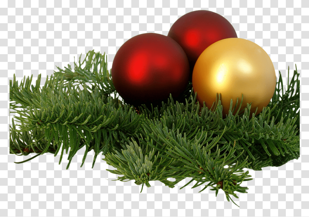 Christmas Branch Image Christmas Decoration, Sphere, Plant, Tree, Egg Transparent Png