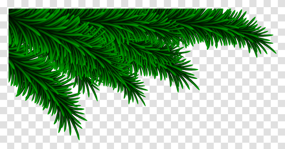 Christmas Branches Clipart For Free Christmas Pine Branch Transparent Png