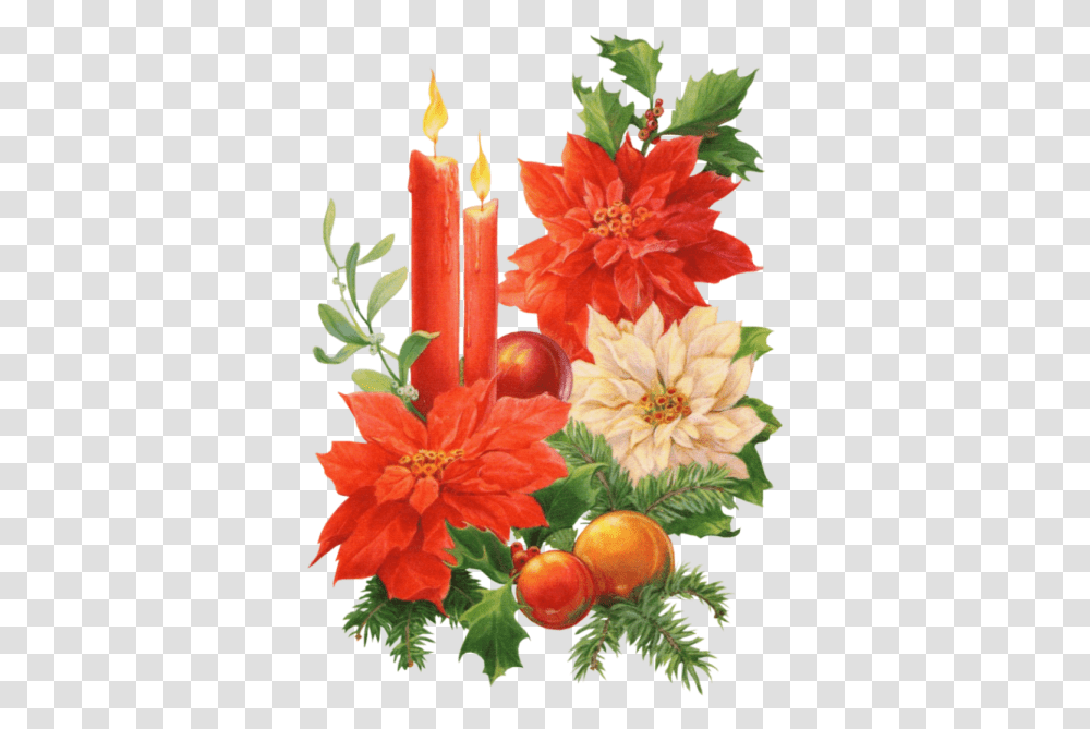 Christmas Candle Image Vintage Christmas Candle, Plant, Flower, Petal, Orange Transparent Png