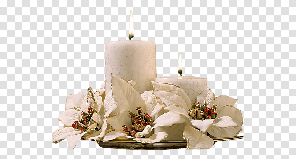 Christmas, Candle, Plant, Flower, Blossom Transparent Png