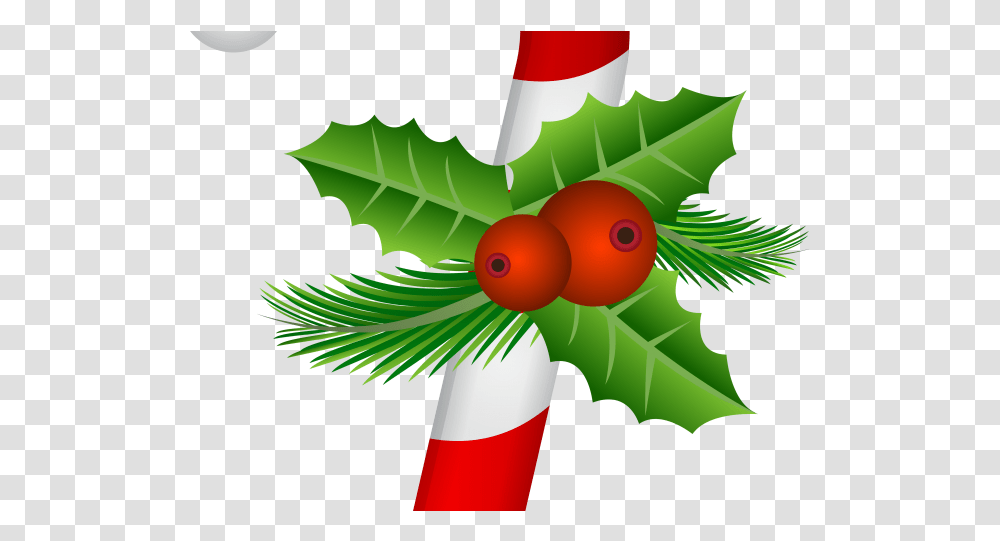 Christmas Candy Cane, Plant, Tree, Leaf, Green Transparent Png