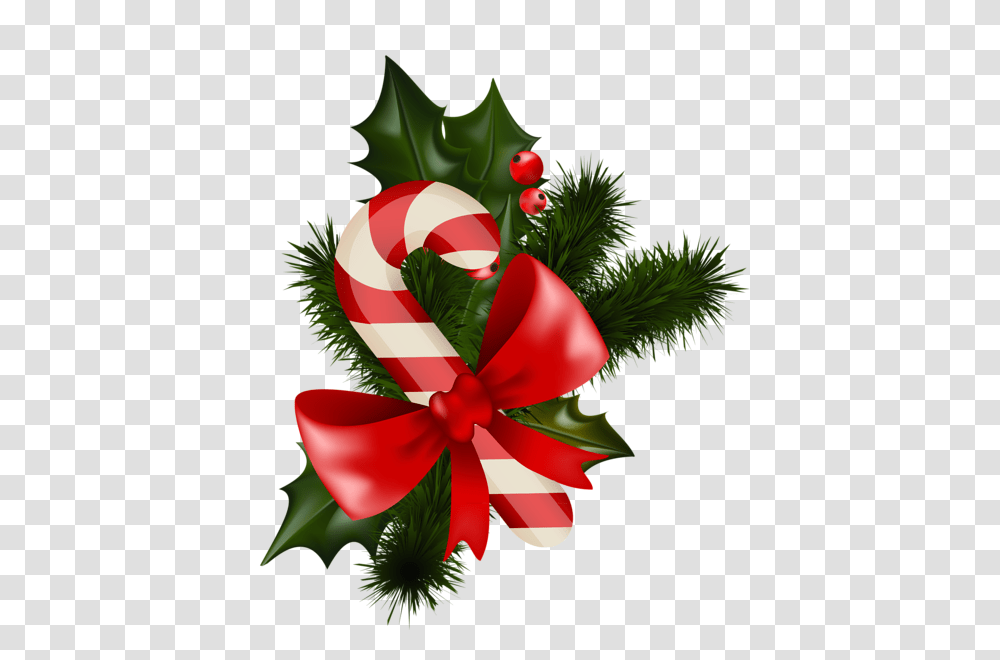 Christmas Candy, Food, Tree, Plant, Flower Transparent Png