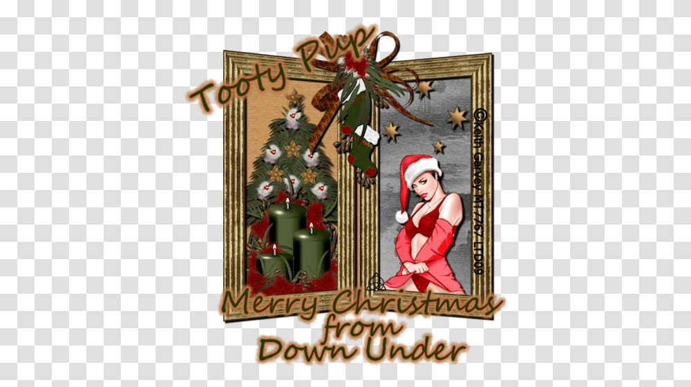 Christmas Card Image With No Christmas, Person, Human, Tree, Plant Transparent Png
