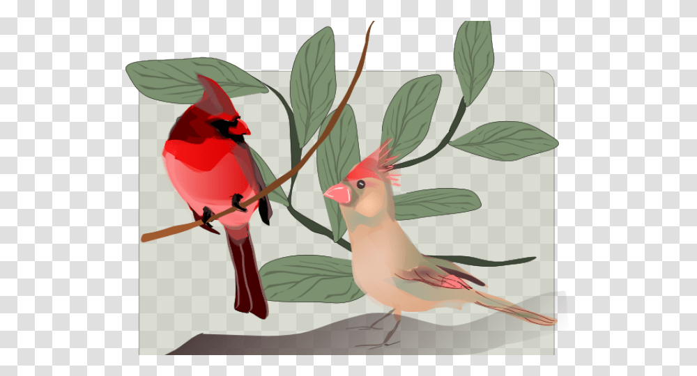 Christmas Cardinal Clipart Bird, Animal Transparent Png