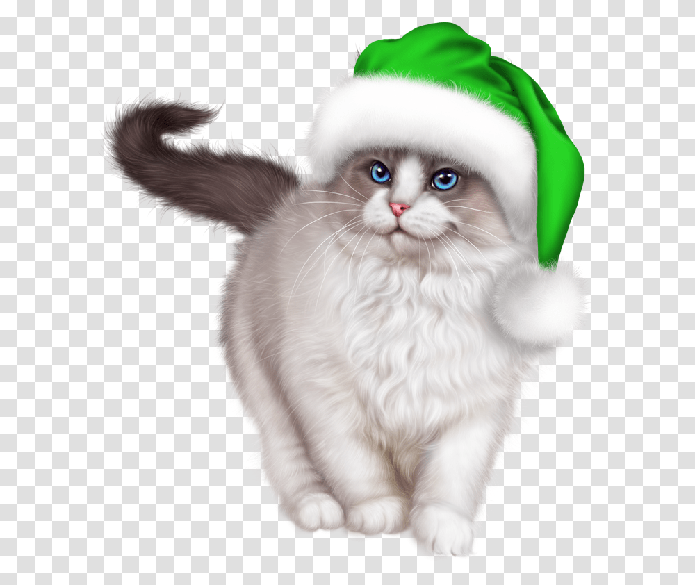 Christmas Cat, Angora, Pet, Mammal, Animal Transparent Png