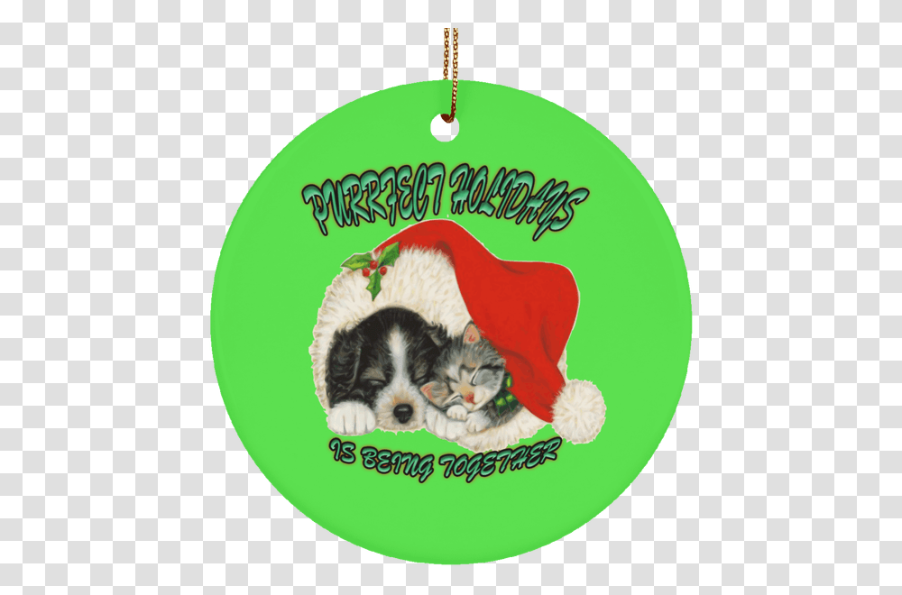 Christmas Cat Christmas Dogs And Cats, Puppy, Pet, Canine, Animal Transparent Png