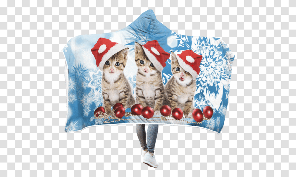 Christmas Cat National Pet Adoption Weekend November 2019, Mammal, Animal, Kitten Transparent Png