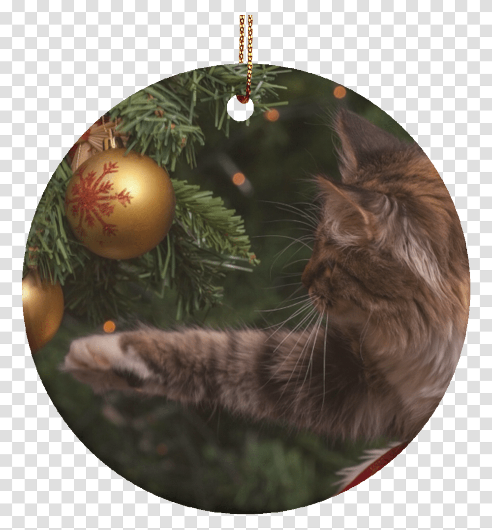 Christmas Cat Ornaments Christmas Cat Meme, Egg, Food, Kitten, Pet Transparent Png