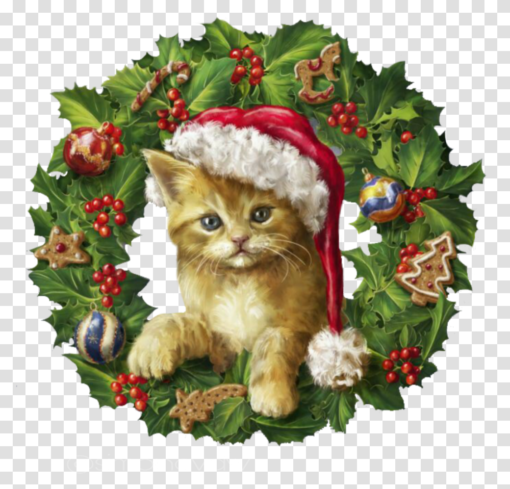 Christmas Cat Wreath Chat Couronne De Nol, Pet, Mammal, Animal, Plant Transparent Png