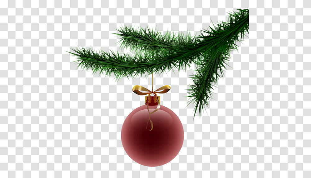 Christmas Christmas Tree Christmas Decoration Christmas Tree, Plant, Wasp, Bee, Insect Transparent Png