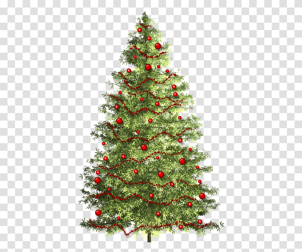 Christmas Christmas Tree Christmas Time Free Photo Christmas Tree, Ornament, Plant Transparent Png