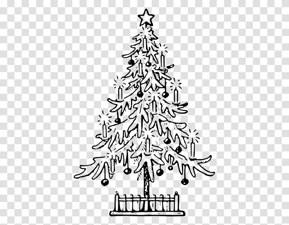 Christmas Christmas Tree Confer Fir Holiday Lutz Christmas Tree Drawing, Gray, World Of Warcraft, Halo Transparent Png