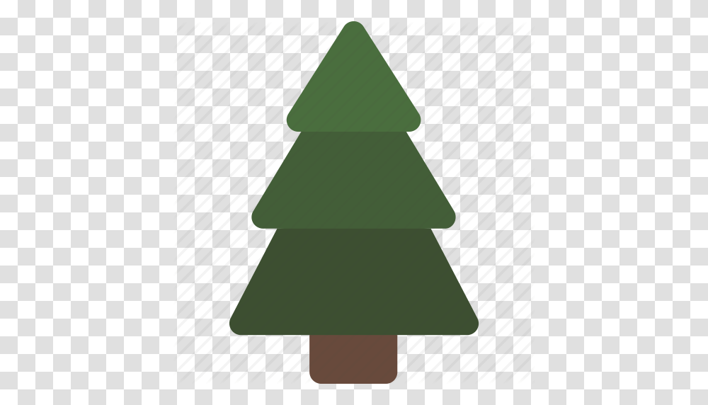 Christmas Christmas Tree Fir Fir Tree Pine Pine Tree Tree Icon, Plant, Triangle, Lamp, Abies Transparent Png