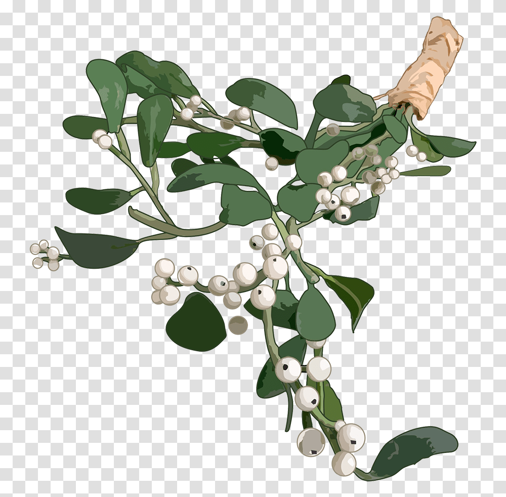 Christmas Clip Art Mistletoe, Plant, Blueberry, Fruit, Food Transparent Png