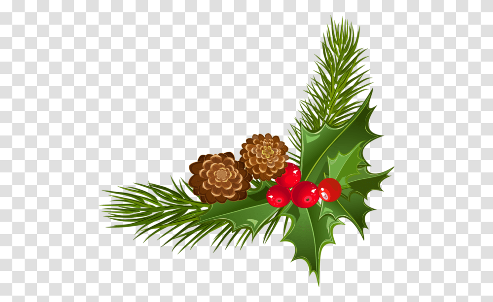 Christmas Clipart Corner, Plant, Raspberry, Fruit, Food Transparent Png