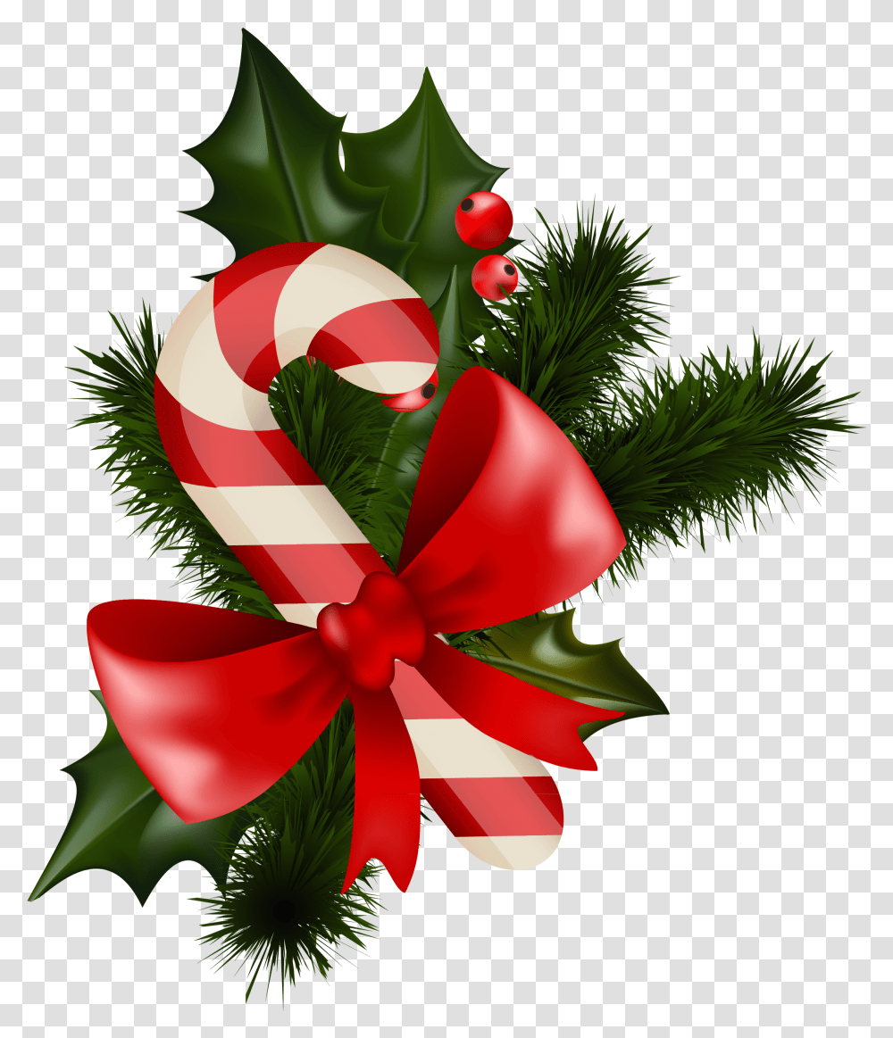 Christmas Clipart, Plant, Tree, Flower, Blossom Transparent Png