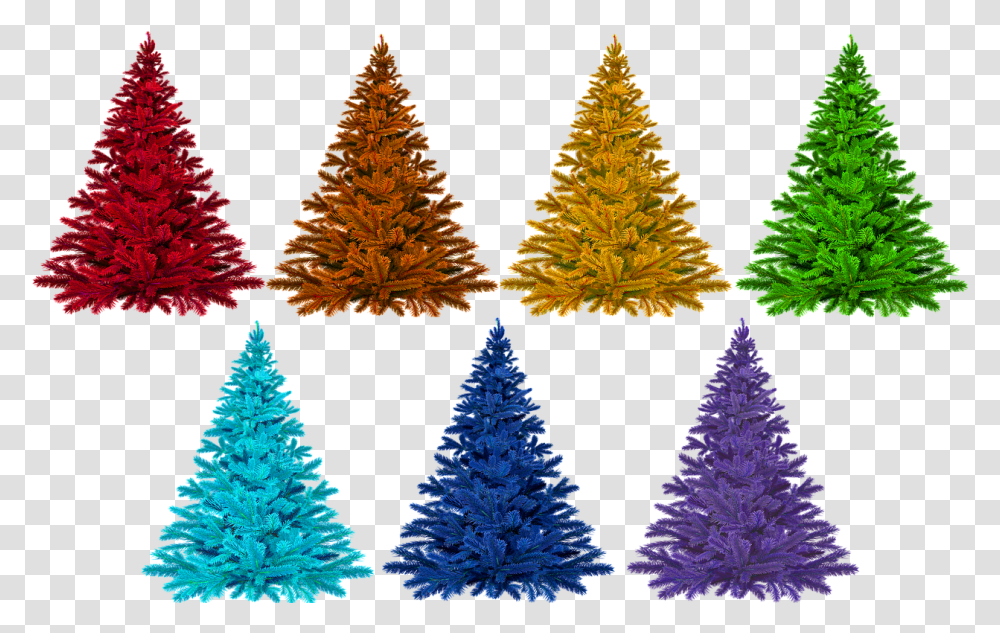Christmas Colorful Rainbow Free Picture Christmas Day, Tree, Plant, Christmas Tree, Ornament Transparent Png