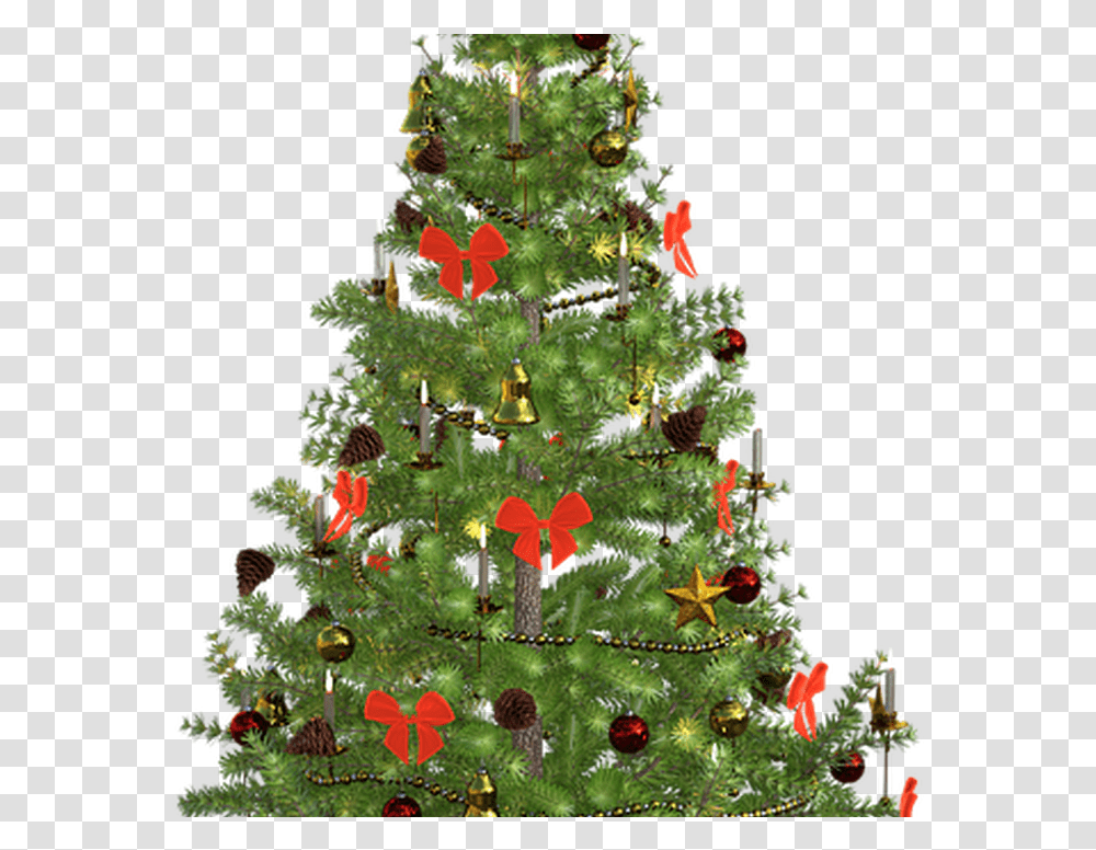 Christmas Day, Christmas Tree, Ornament, Plant Transparent Png