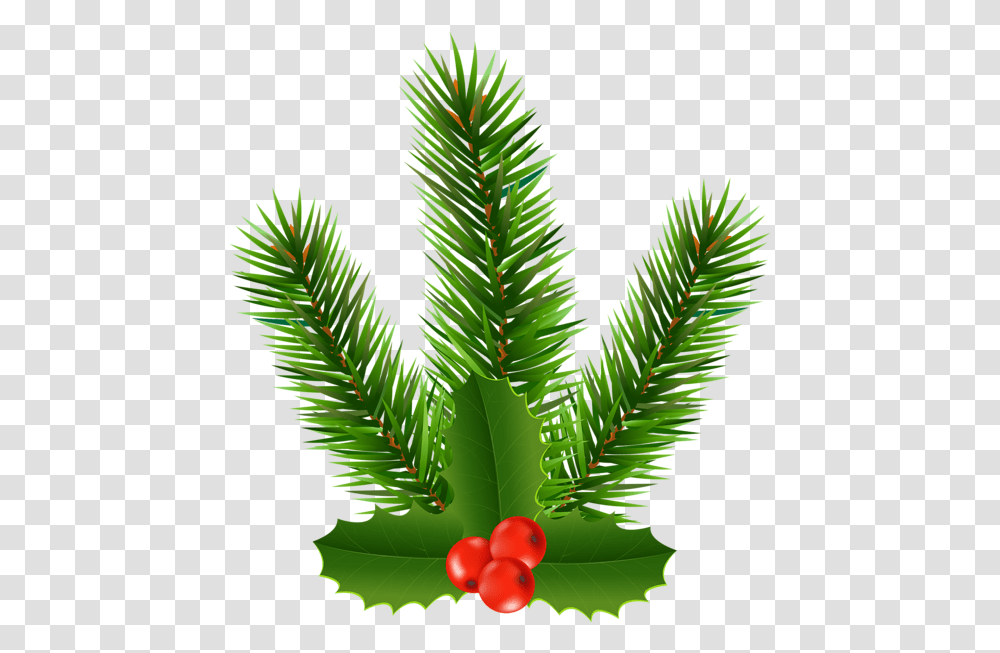 Christmas Day, Leaf, Plant, Green, Tree Transparent Png