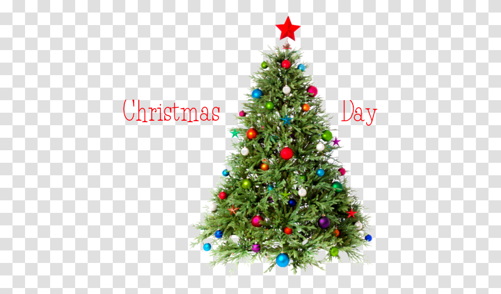 Christmas Day Tree Image Merry Christmas Tree, Ornament Transparent Png
