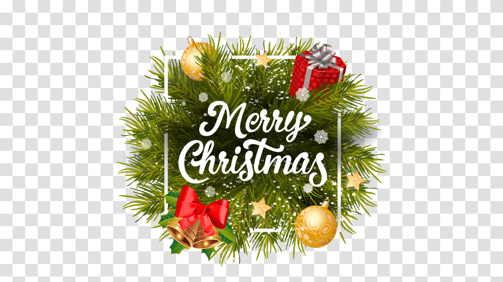 Christmas Decor Yo's Barber Shop Merry Christmas Hair Salon, Tree, Plant, Rose, Flower Transparent Png