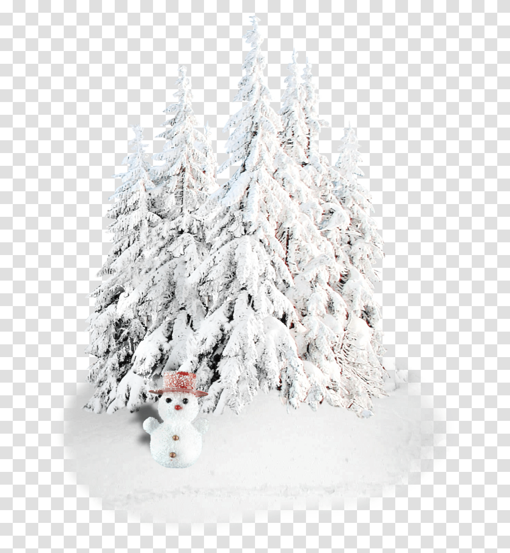 Christmas Decoration Holiday Snowman New Year Tree Christmas, Nature, Outdoors, Plant, Christmas Tree Transparent Png