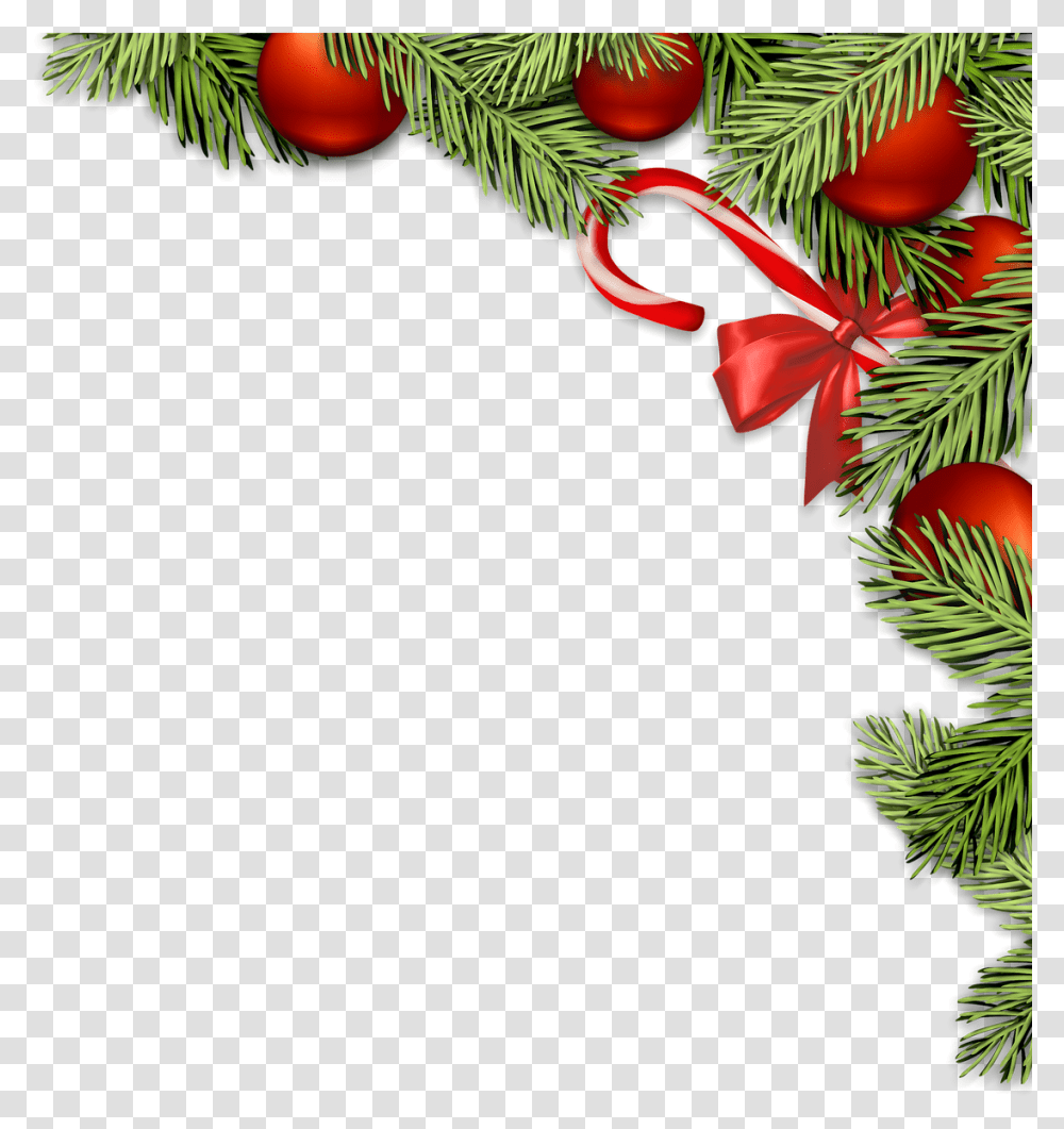 Christmas Decorations Christmas Baubles Christmas Free Enfeite De Natal, Tree, Plant, Conifer, Yew Transparent Png