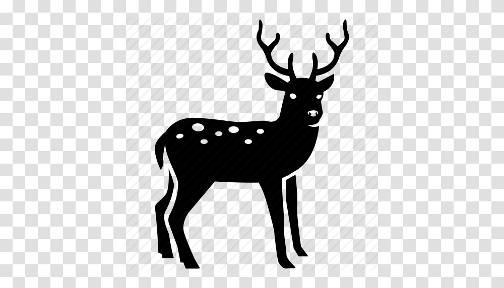 Christmas Deer Hunting Reindeer Rudolph Stag Venison Icon, Piano, Leisure Activities, Musical Instrument, Wildlife Transparent Png