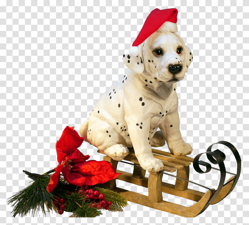 Christmas Dog Clipart, Pet, Animal, Canine, Mammal Transparent Png