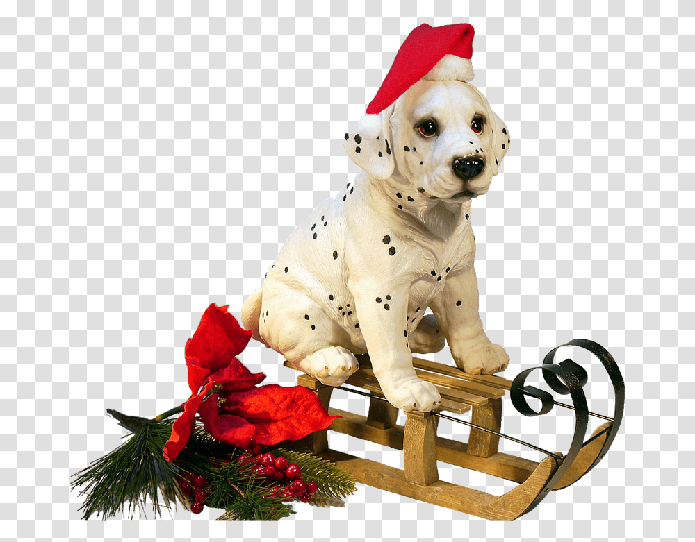 Christmas Dog Stickpng Christmas Dog Clipart, Pet, Animal, Canine, Mammal Transparent Png