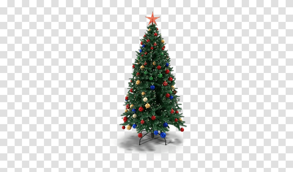 Christmas Fir Real Christmas Tree, Ornament, Plant, Pine Transparent Png