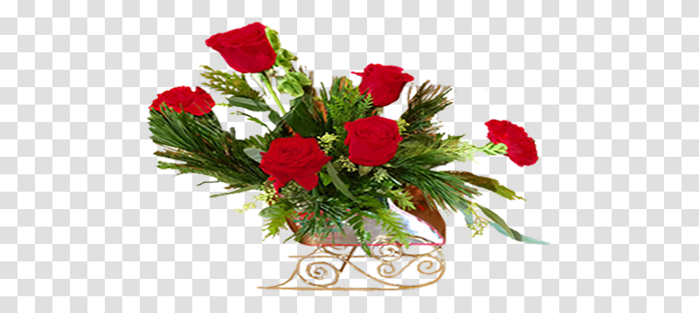 Christmas Flower, Plant, Blossom, Flower Bouquet, Flower Arrangement Transparent Png