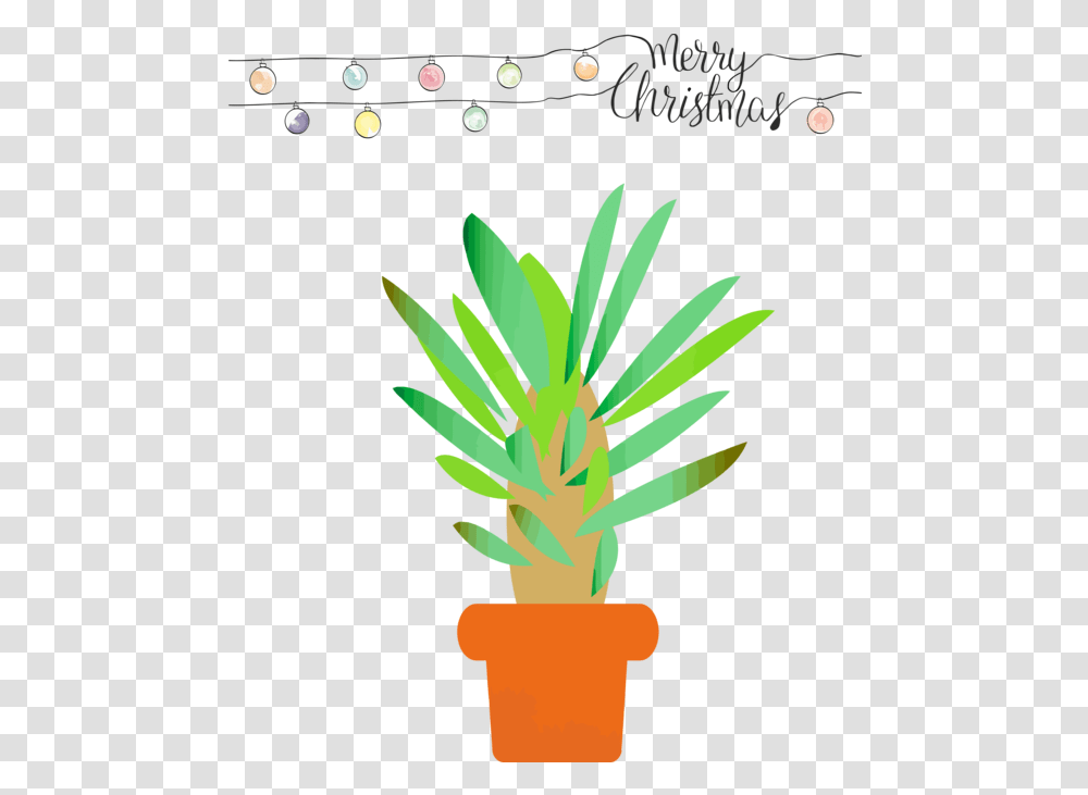 Christmas Flowerpot Houseplant Plant Kaktus Kartun, Palm Tree, Arecaceae, Blossom, Photography Transparent Png
