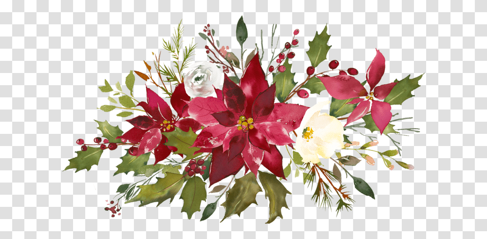 Christmas Flowers Watercolor, Plant, Blossom, Flower Arrangement, Floral Design Transparent Png