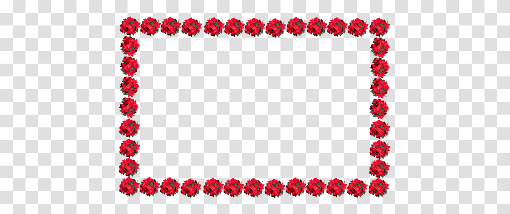Christmas Frame Image, Plant, Flower, Blossom, Rug Transparent Png