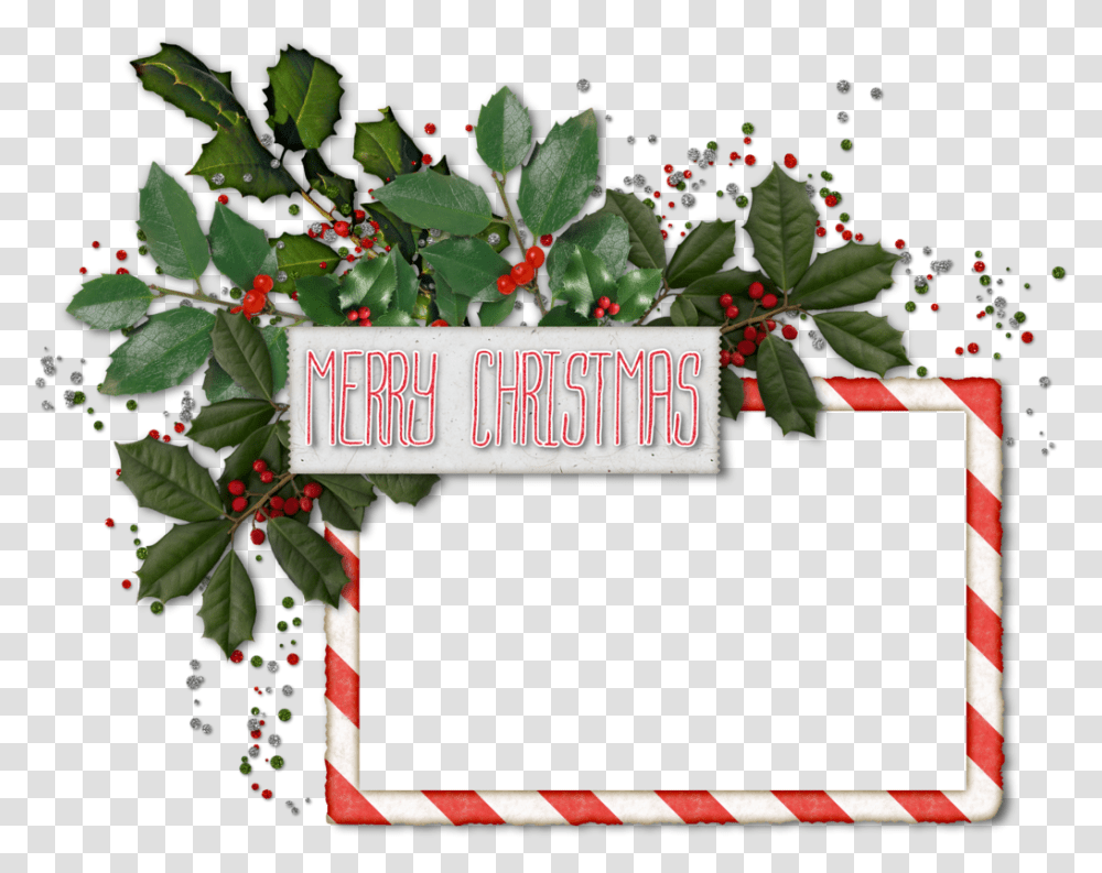 Christmas Frame Tumblr Sticker By Border Christmas Frame, Plant, Leaf, Flower, Blossom Transparent Png