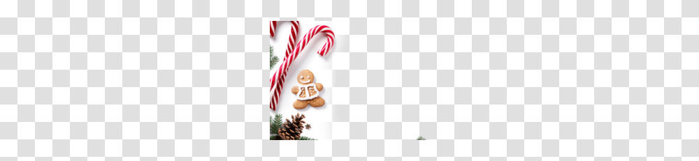 Christmas Frame Vector Clipart, Food, Sweets, Confectionery, Cane Transparent Png