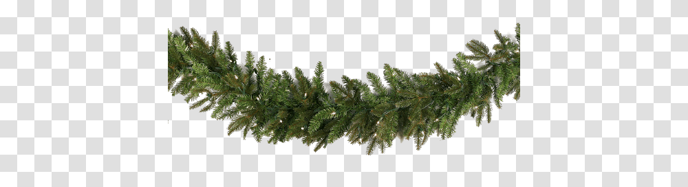 Christmas Garland, Holiday, Tree, Plant, Conifer Transparent Png