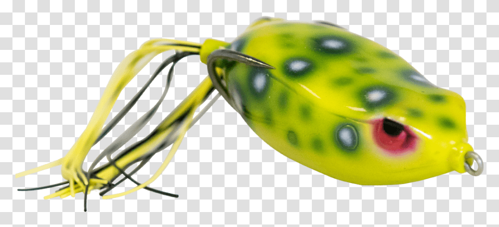 Christmas Gift Ideas Bassmaster Surface Lure, Plant, Vegetable, Food, Pepper Transparent Png