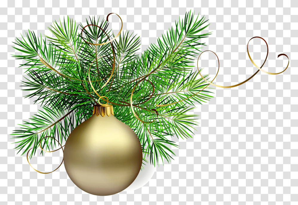 Christmas Green Cliparts Christmas Pine Branch Clipart, Plant, Lighting, Tree, Ornament Transparent Png