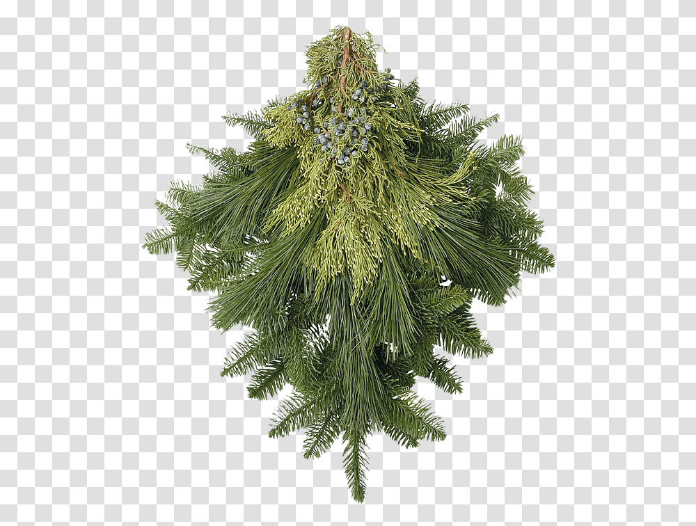 Christmas Greenery Christmas Greenery, Plant, Tree, Moss, Christmas Tree Transparent Png